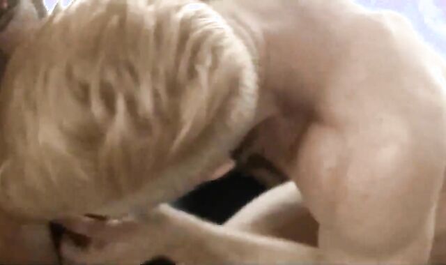 Wolves Internal Cumshot shaggy pin By DoomGAY