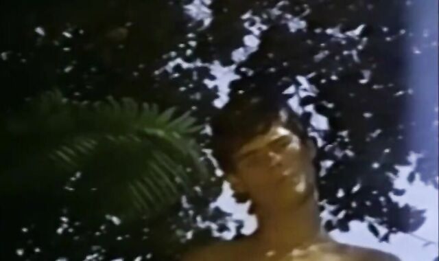 Sundeck (1981) NOVA Brief