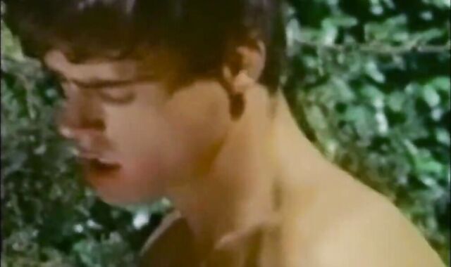 Sundeck (1981) NOVA Brief