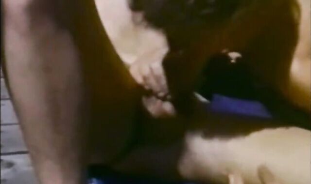 Sundeck (1981) NOVA Brief