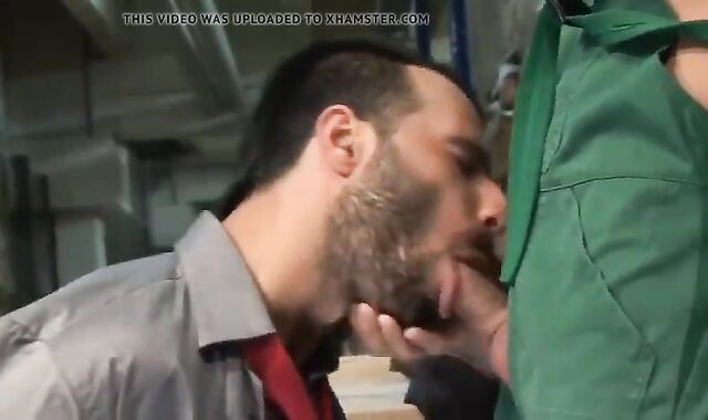 Aybars And Breno Lopez (TRBIM)