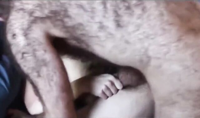 Parent Hunk drill Sonnie Gf