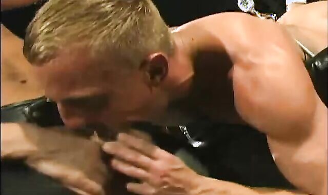 Riley Porter And Michael Brandon Rampant stallion Studios