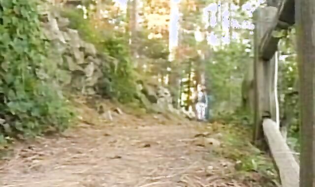 From grand-father's Closet: Mountain wood (1994)