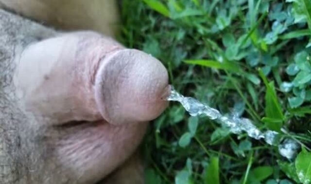 smallish knob Urinating Outside In Slow Motility