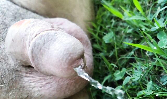 smallish knob Urinating Outside In Slow Motility