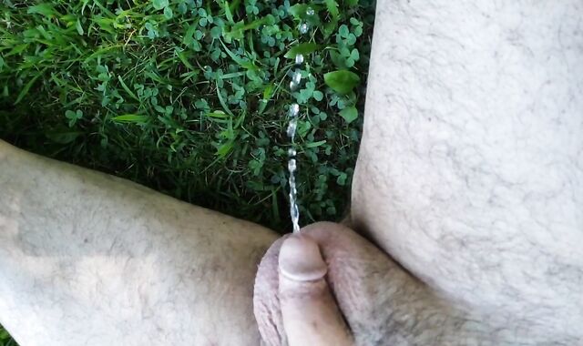 smallish knob Urinating Outside In Slow Motility