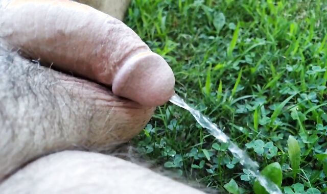 smallish knob Urinating Outside In Slow Motility