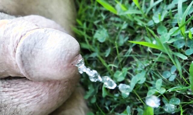 smallish knob Urinating Outside In Slow Motility