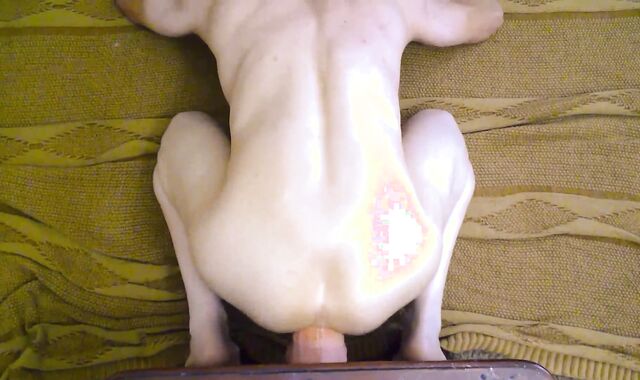 Spreading That arse aperture Out Till I enjoy mayo Pie