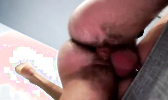 youthfull Teddies Have Some gusto