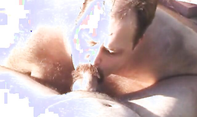 Cyberbears - Backyard Wolves