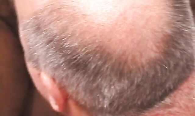 Cyberbears - Backyard Wolves