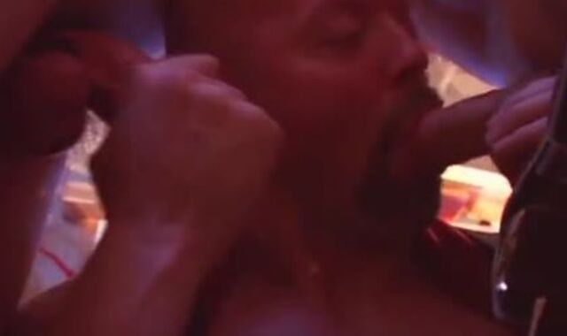 Cyberbears - Wolf Alley