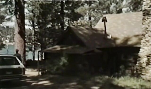 Blondes Do It finest (1985) Part three