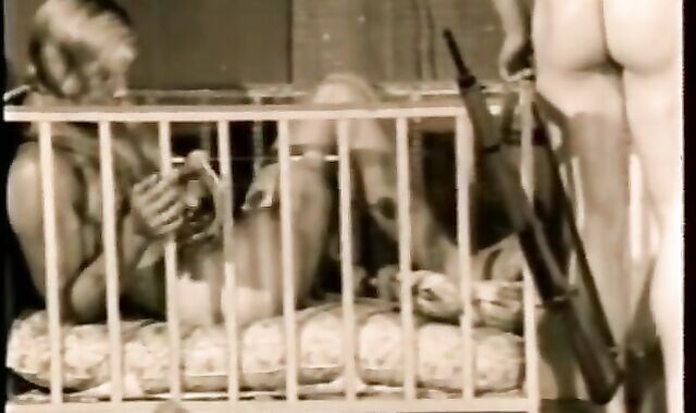 Campfire video vignette Physique Documentary