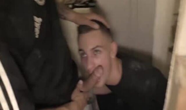 3 Council boyz plumb