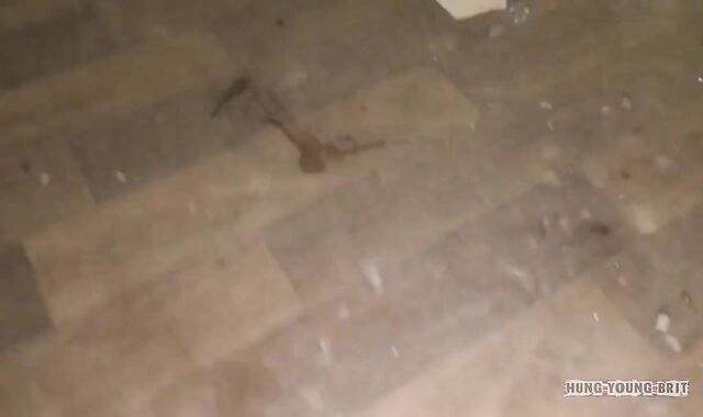 3 Council boyz plumb