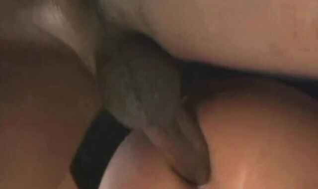 queer Breeding Compilation 7