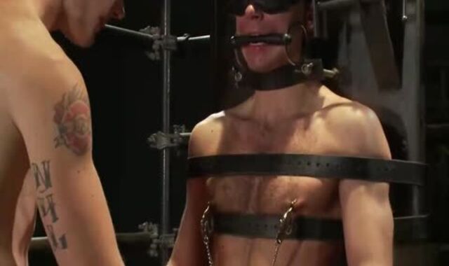 Christian Wilde Zach Alexander 2