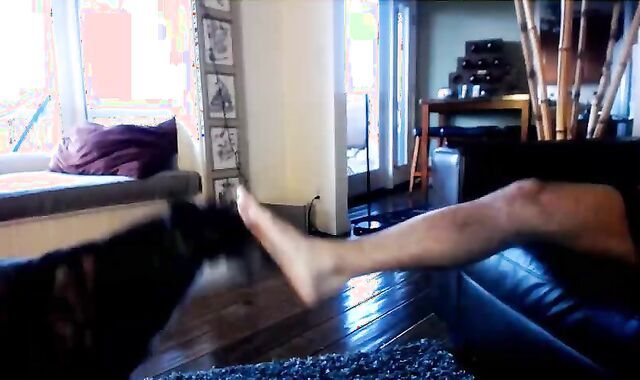 Austin Wilde And His Beau