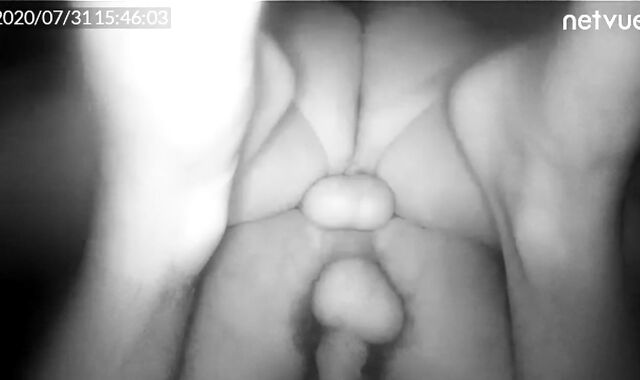 Jasonx59300 Ce Gauze Un Réel Cul De Bâtard Une Chienne