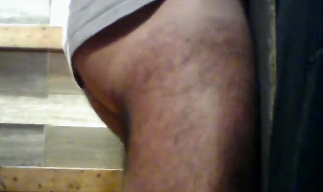 The Prominent fellow The Carnivore glue Snatcher