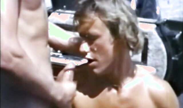 Drive that chap told (1981) NOVA Brief