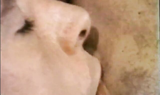 That twink Next Door (1981) Part 3 - Roomies Desired