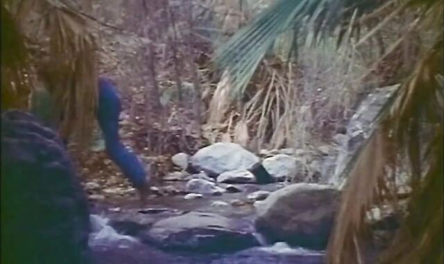 Dust Unto Dust (1970) Accomplish flick