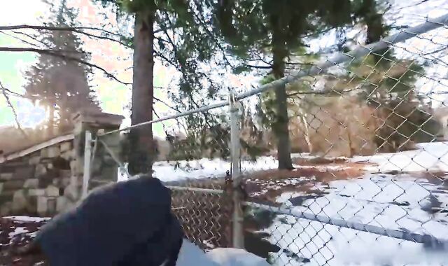 Answered Pleas The Lamb