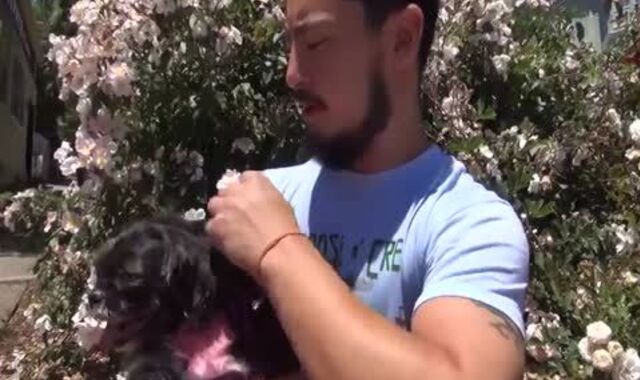 I Want Your Geyser - Sequence 1