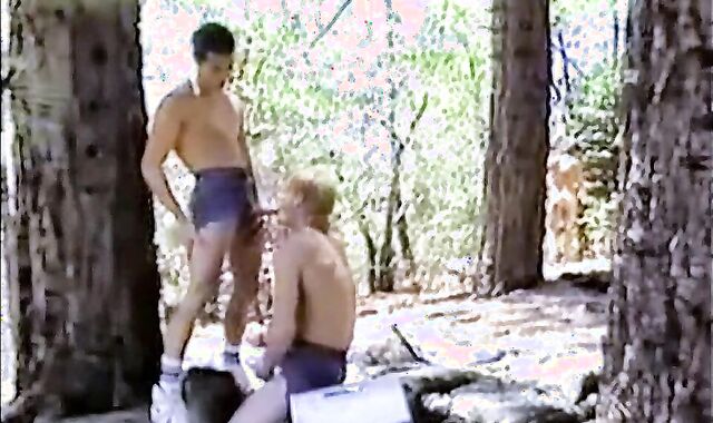 Memories Of Barely Legal (1988) Part trio