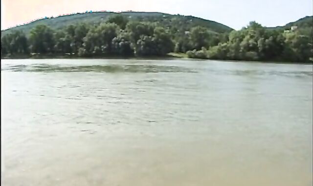 Triple joy By The Lake