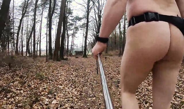 in nature's clothing Walk In Woods  With Innocence Cell