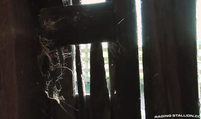 Tony Orion And Boomer Banks (OR1 P1)