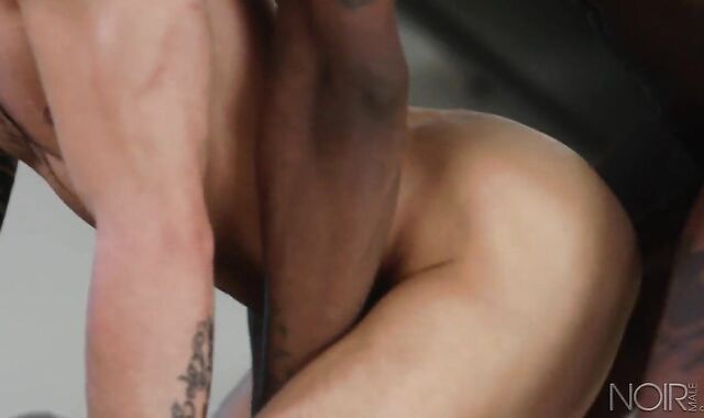 fresh flick sequence 261