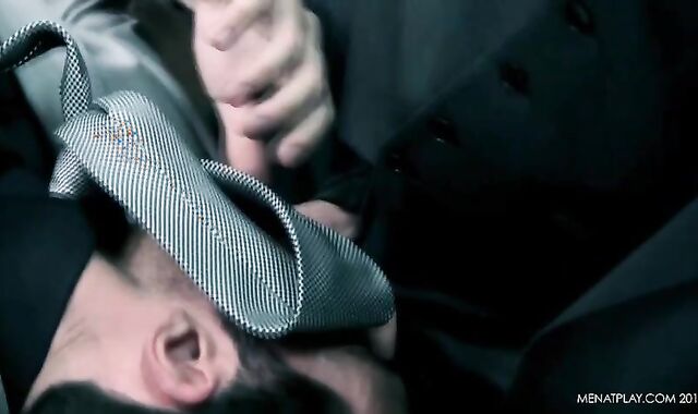 Diary Of A Fox Wednesday