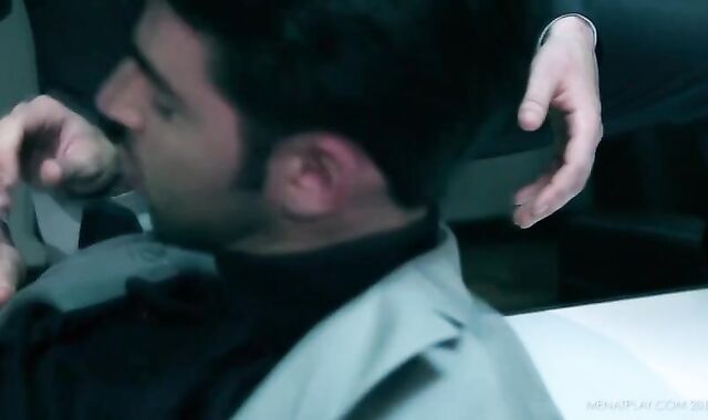 Diary Of A Fox Wednesday