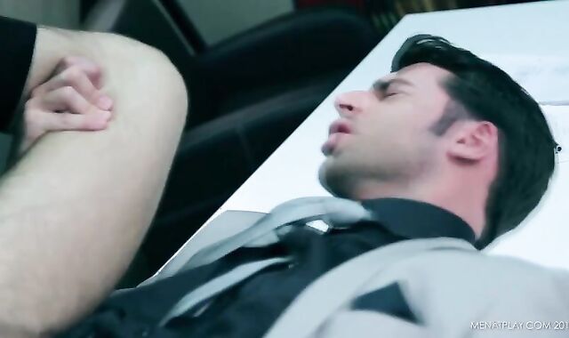 Diary Of A Fox Wednesday