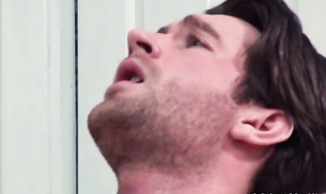 Diary Of A Fox Thursday