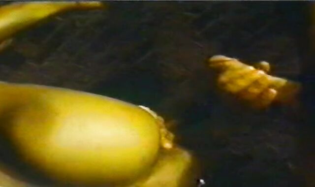 Antique French queer Pornography ten