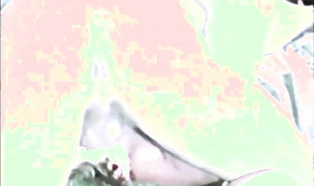 So Many studs, So Lil Time (1979) Finish vid