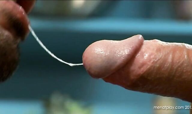 Rogan's Team vignette two