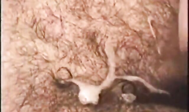 Antique AWOL Military Bros Masturbate absorb And pulverize humid