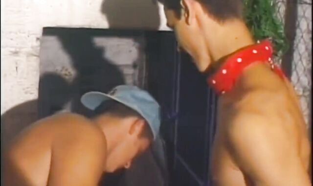 legal this day 24 - Vignette trio - Tthis Chab French Connection