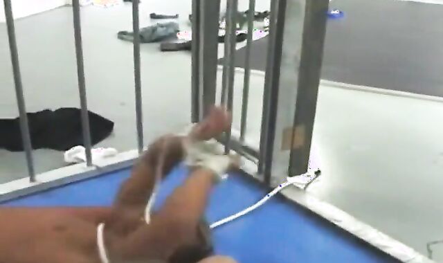 Muscle Grappling And Romp