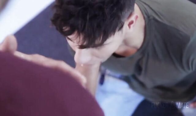 Kaldo & Bastian humid