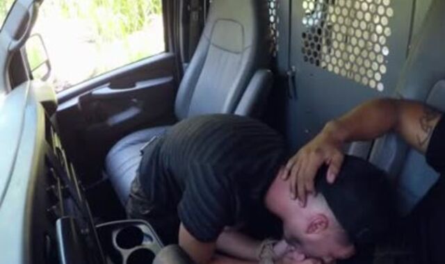 Gabriel Knight Van gets Collared MEXICAN