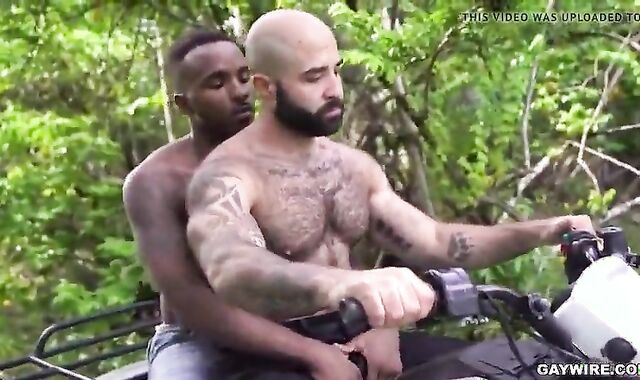 shaggy monstrous wazoo For XXL ginormous ten-Pounder